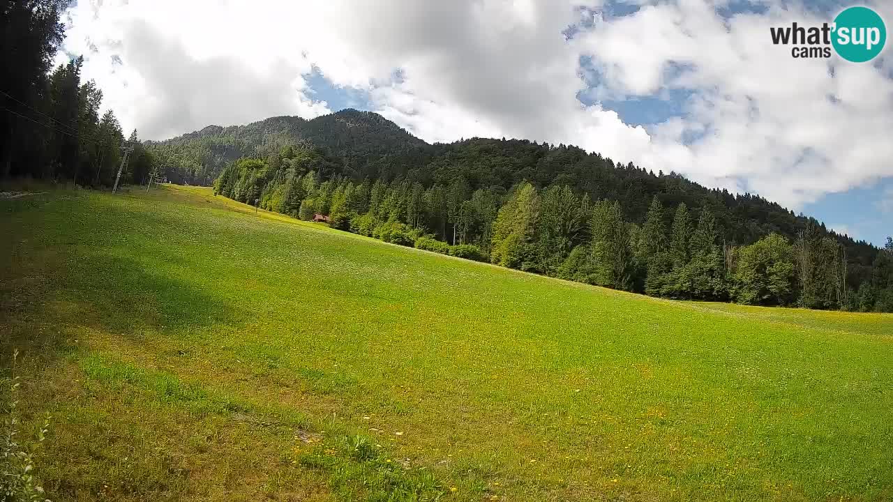 Ski Kranjska Gora | Brsnina