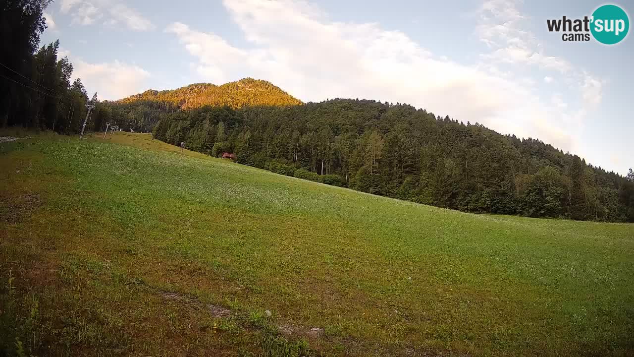 Kranjska Gora SKIJANJE | Brsnina