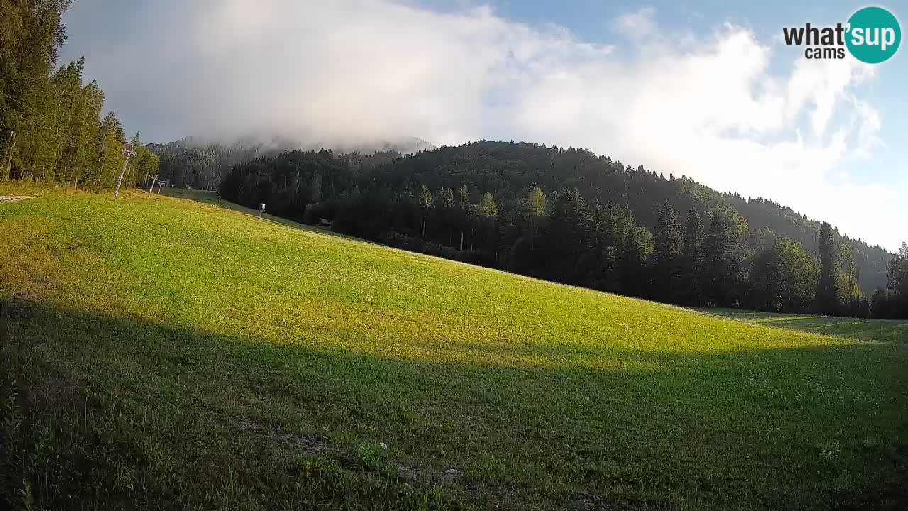 Comprensorio sciistico Kranjska Gora | Brsnina