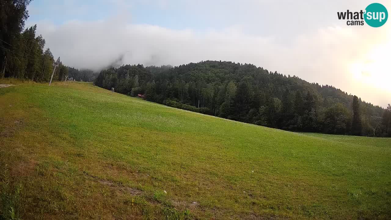 RTC Skigebiet Kranjska Gora | Brsnina