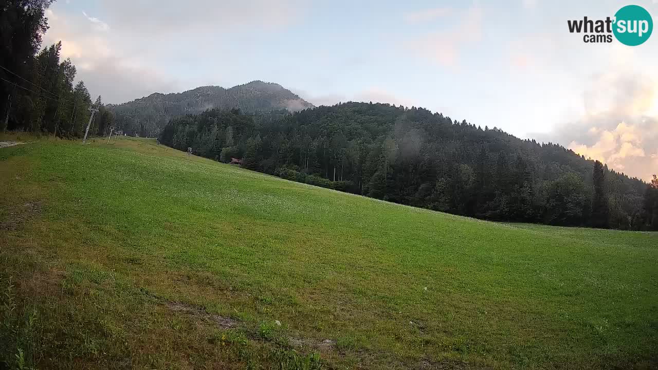 Esquí Kranjska Gora | Brsnina