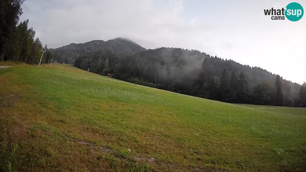 Esquí Kranjska Gora | Brsnina