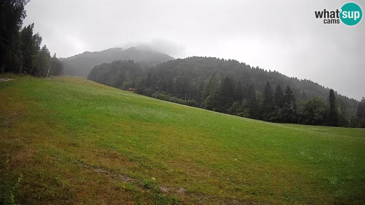 Ski Kranjska Gora | Brsnina