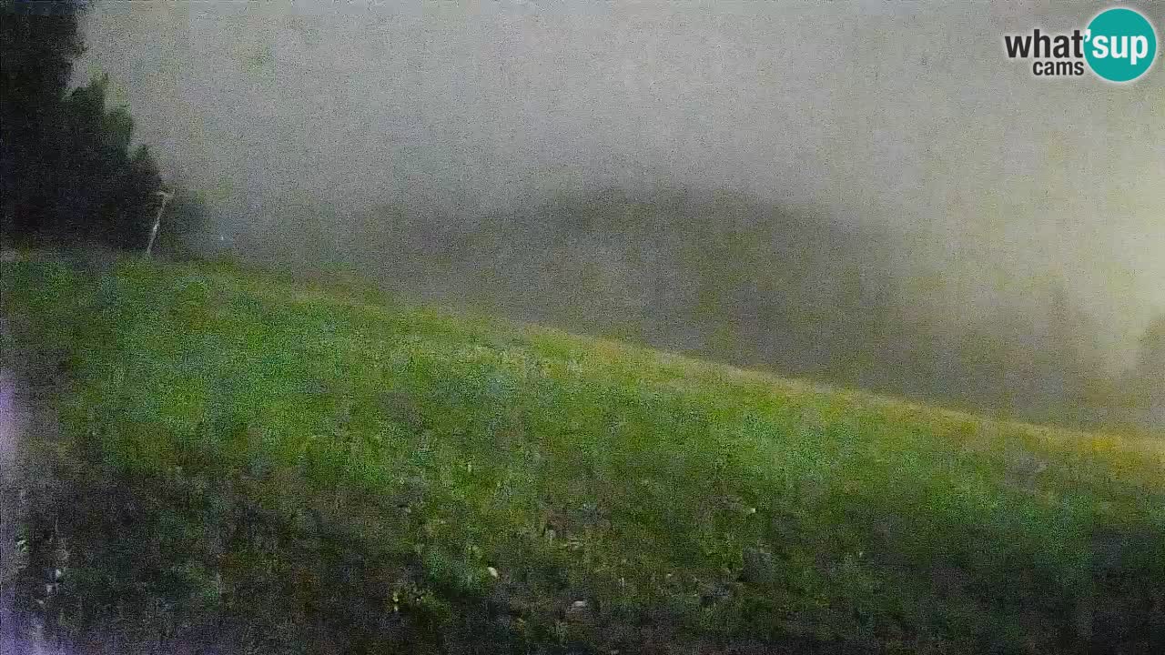 RTC Kranjska Gora | Brsnina