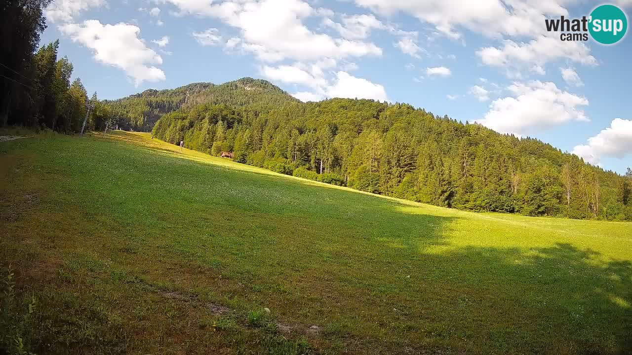 Kranjska Gora Station de ski | Brsnina