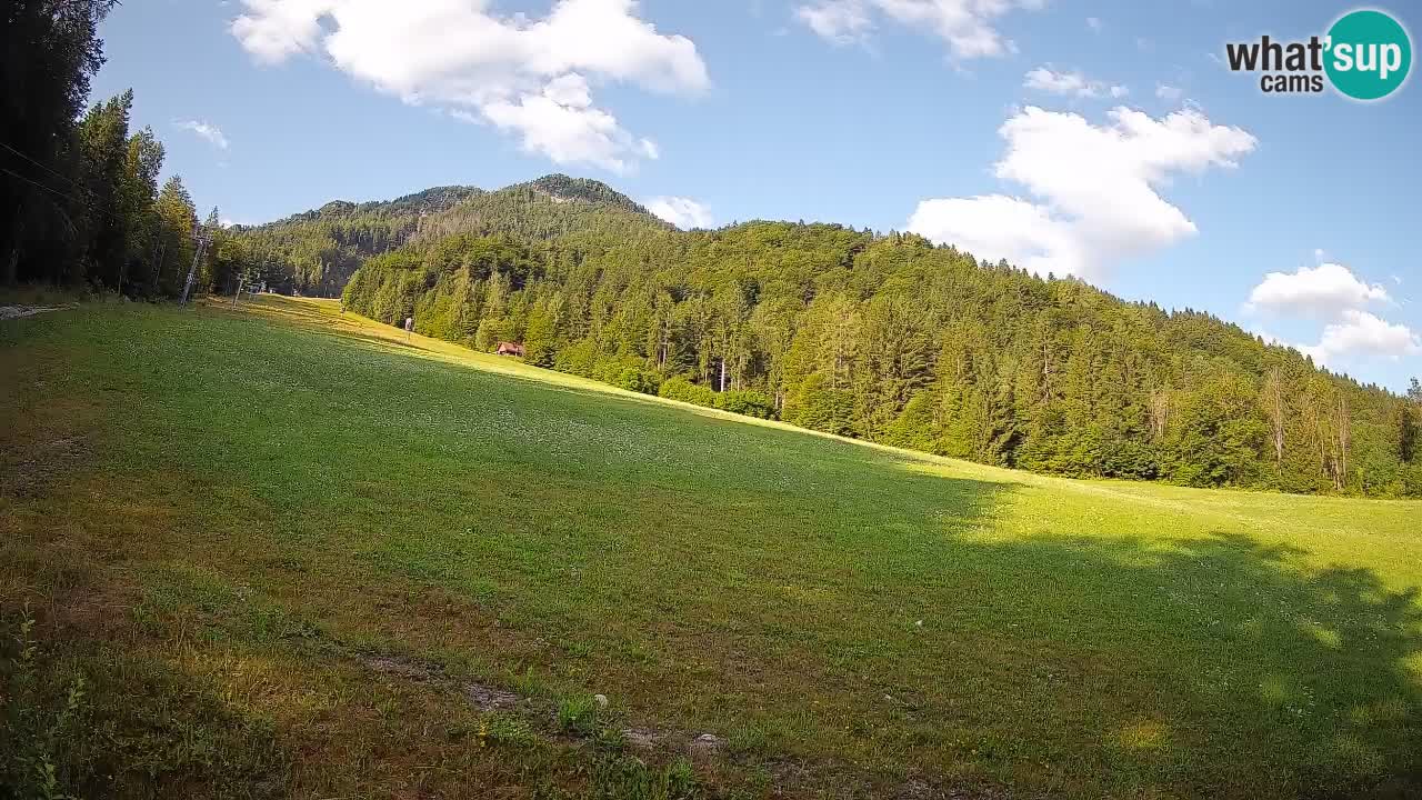 Esquí Kranjska Gora | Brsnina