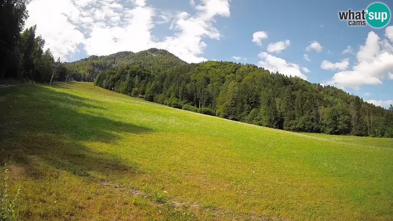 Comprensorio sciistico Kranjska Gora | Brsnina