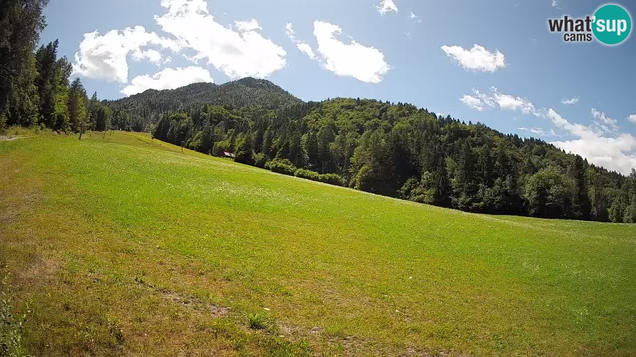 Comprensorio sciistico Kranjska Gora | Brsnina