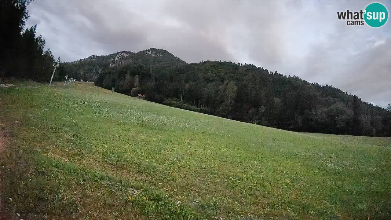 Ski Kranjska Gora | Brsnina