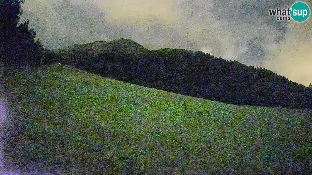 RTC Skigebiet Kranjska Gora | Brsnina