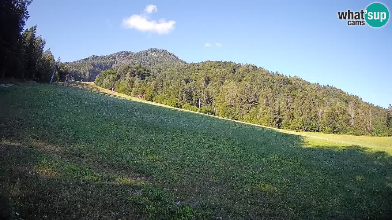 RTC Skigebiet Kranjska Gora | Brsnina
