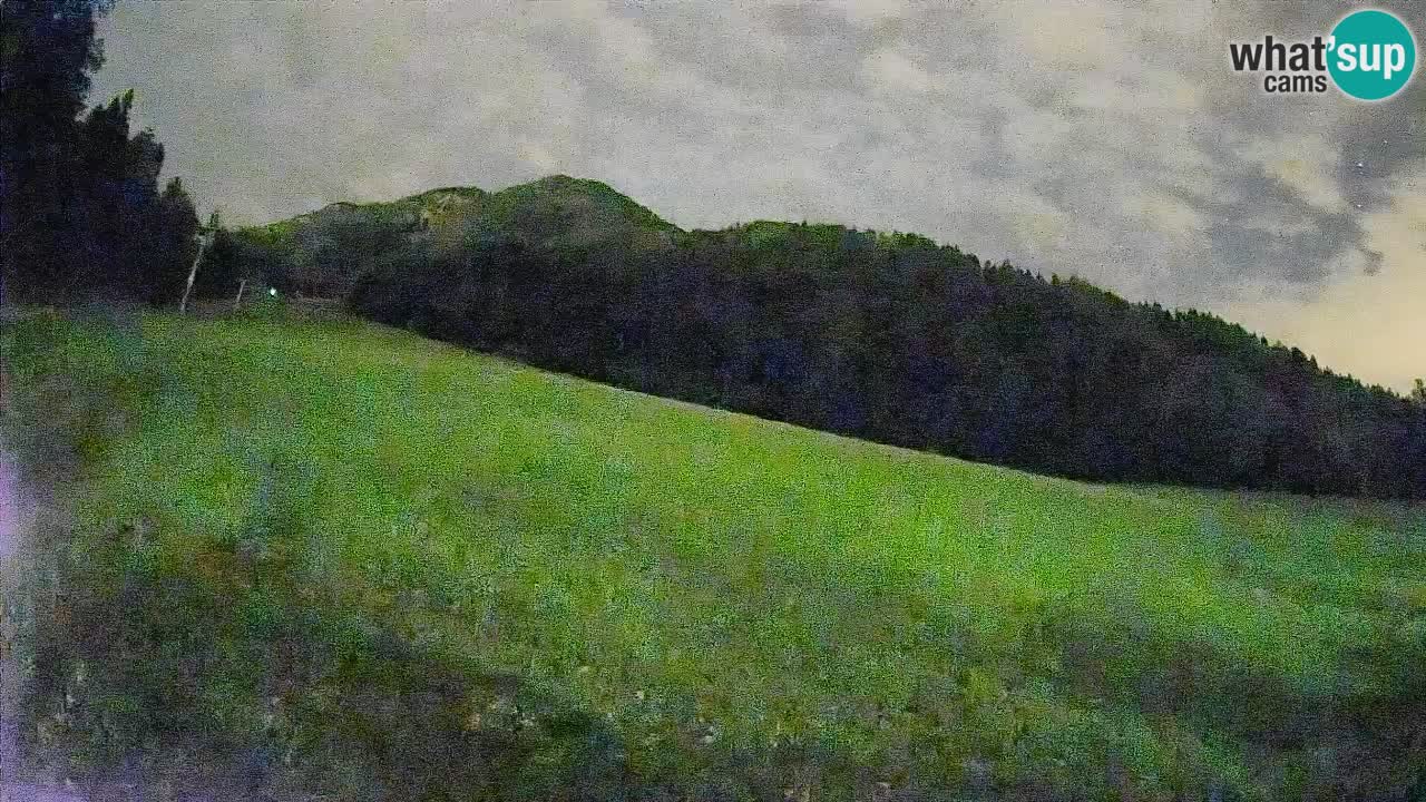 RTC Kranjska Gora | Brsnina