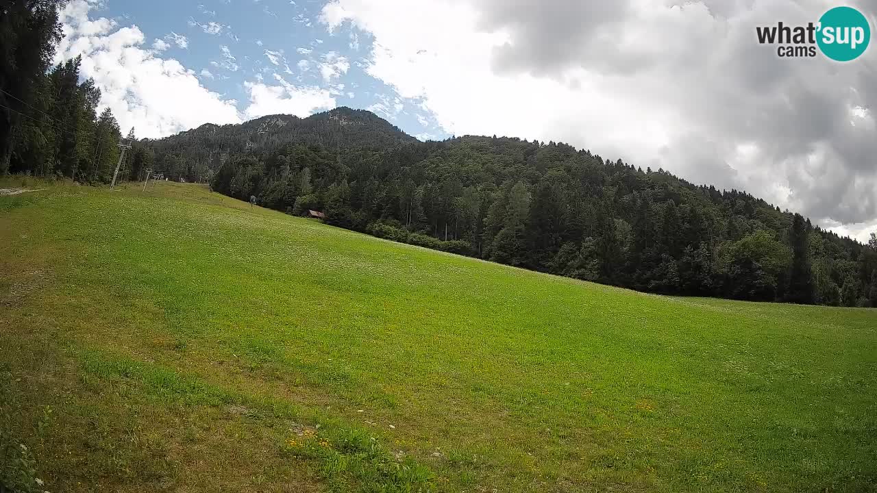 Ski Kranjska Gora | Brsnina