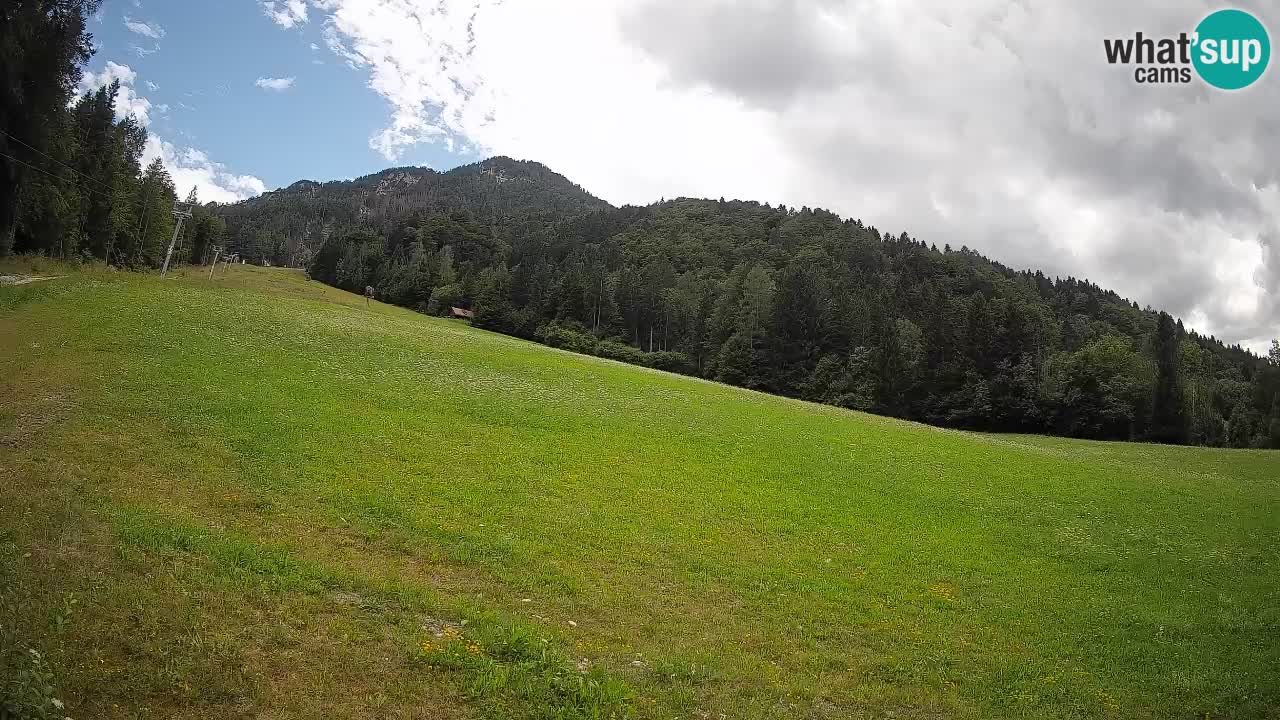RTC Kranjska Gora | Brsnina