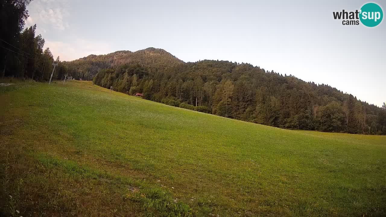 Comprensorio sciistico Kranjska Gora | Brsnina