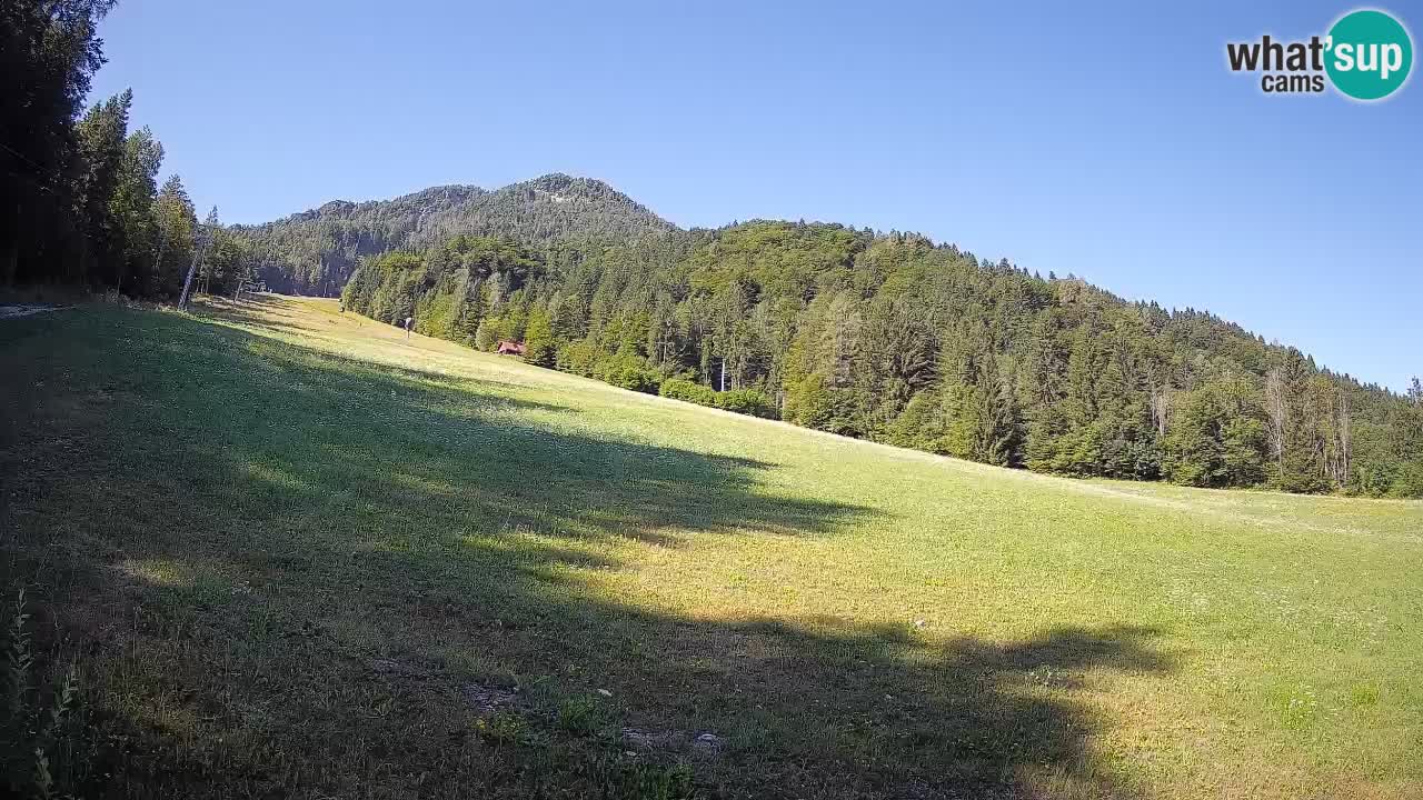 Comprensorio sciistico Kranjska Gora | Brsnina