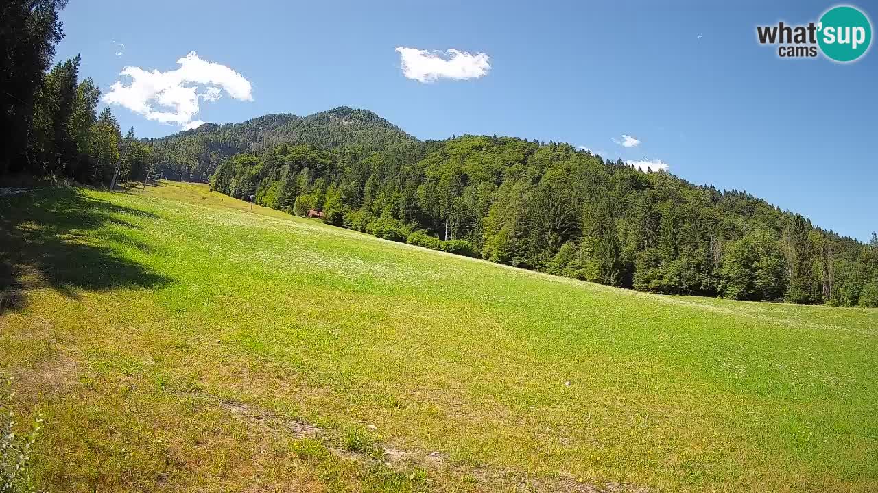 Esquí Kranjska Gora | Brsnina