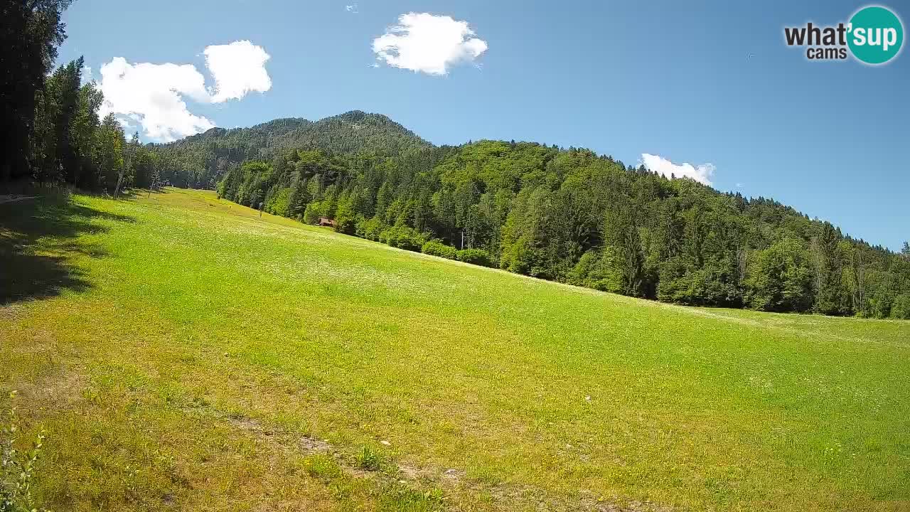 Kranjska Gora Station de ski | Brsnina