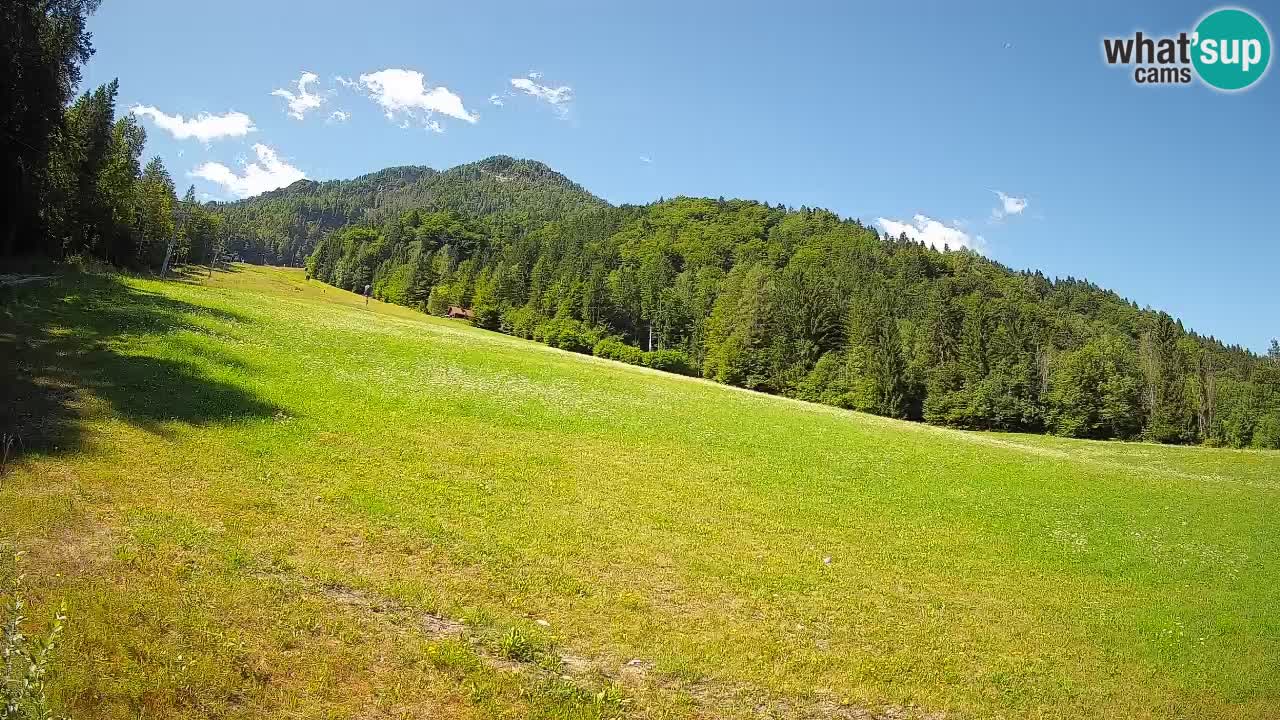 RTC Skigebiet Kranjska Gora | Brsnina