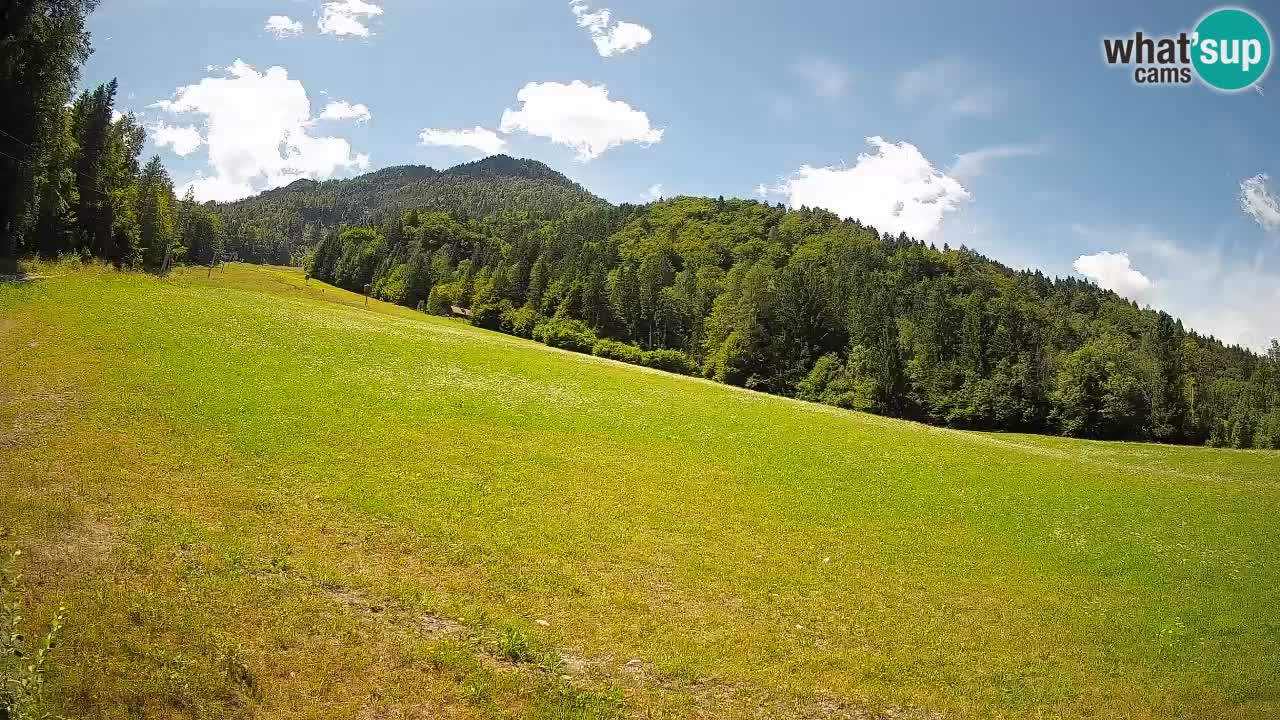 Ski Kranjska Gora | Brsnina