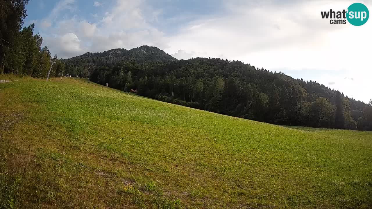 Comprensorio sciistico Kranjska Gora | Brsnina