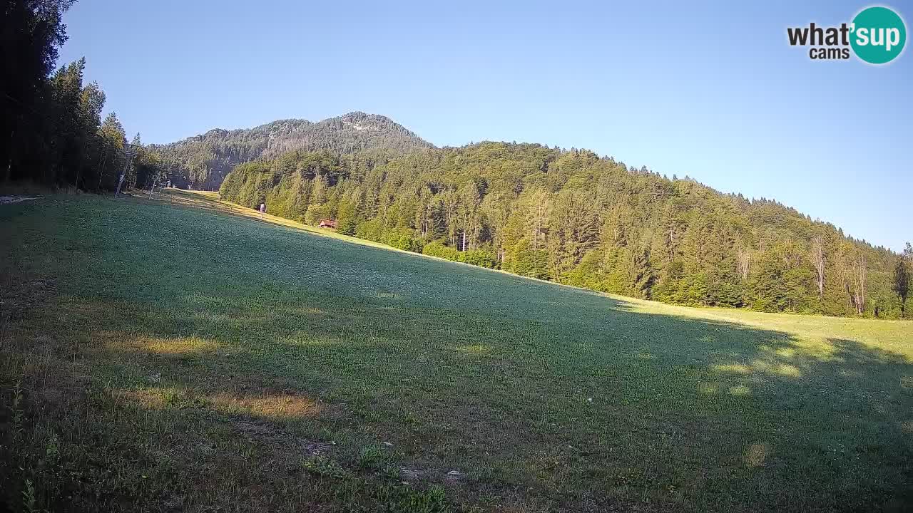 RTC Kranjska Gora | Brsnina
