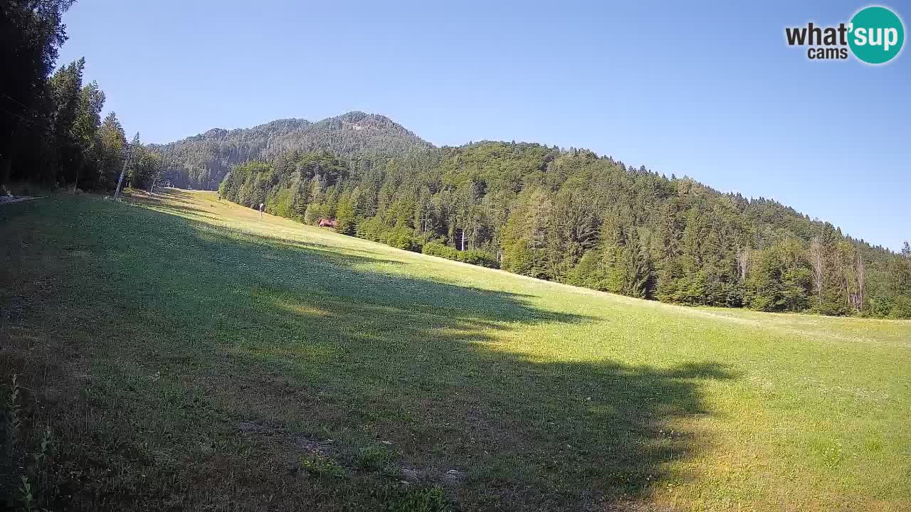 Esquí Kranjska Gora | Brsnina