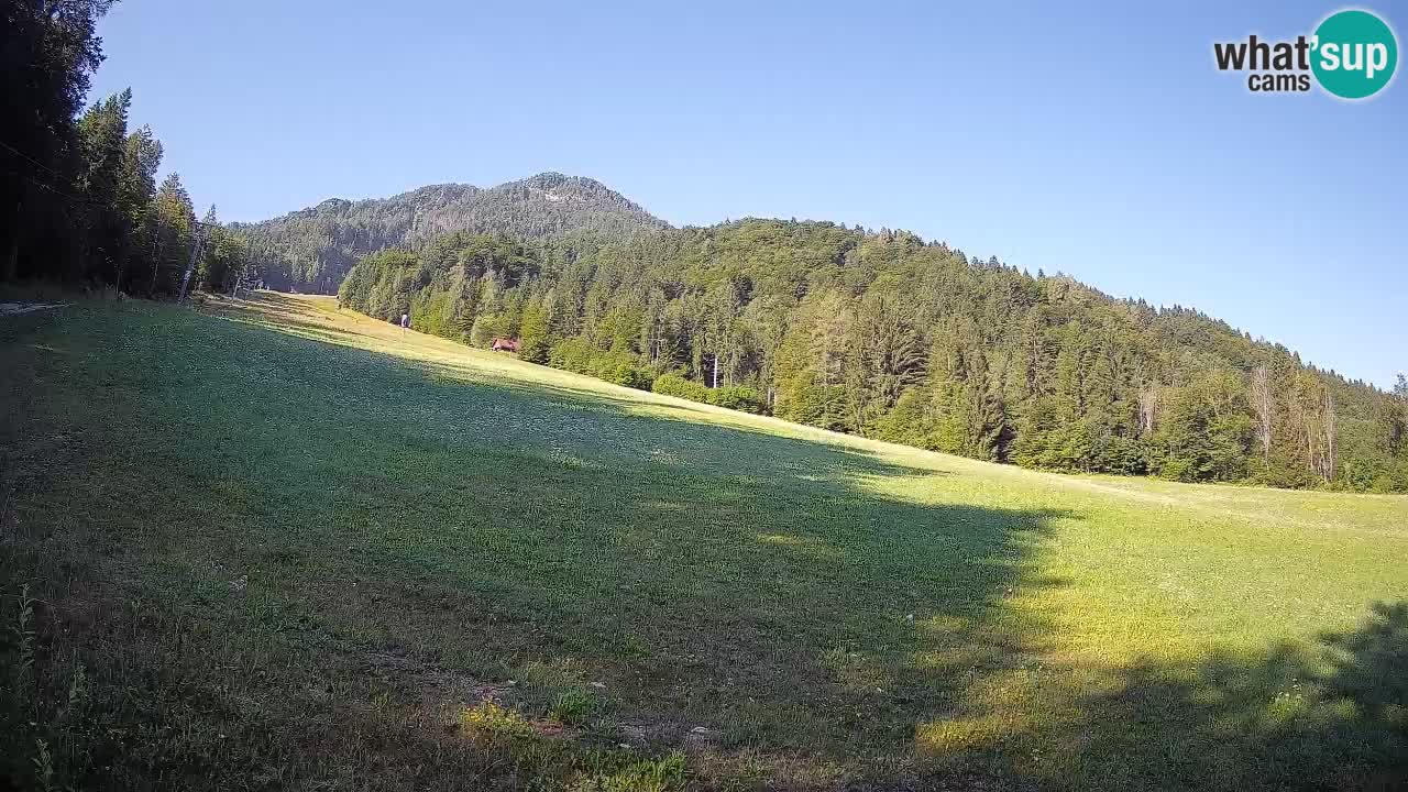 RTC Skigebiet Kranjska Gora | Brsnina