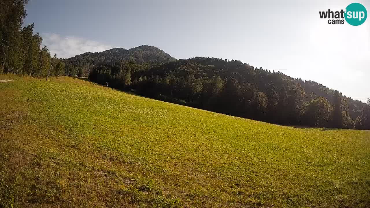 Comprensorio sciistico Kranjska Gora | Brsnina