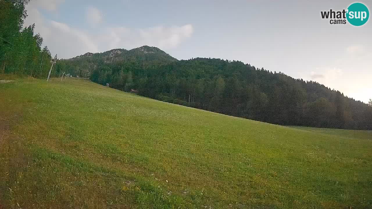 RTC Skigebiet Kranjska Gora | Brsnina