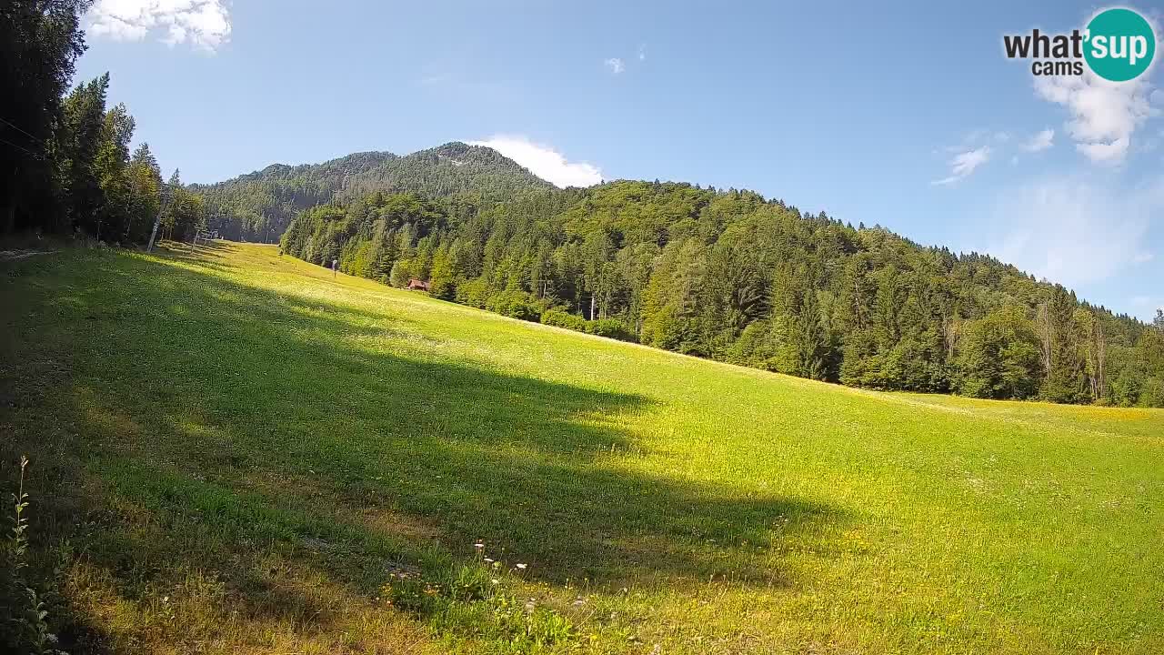 RTC Skigebiet Kranjska Gora | Brsnina