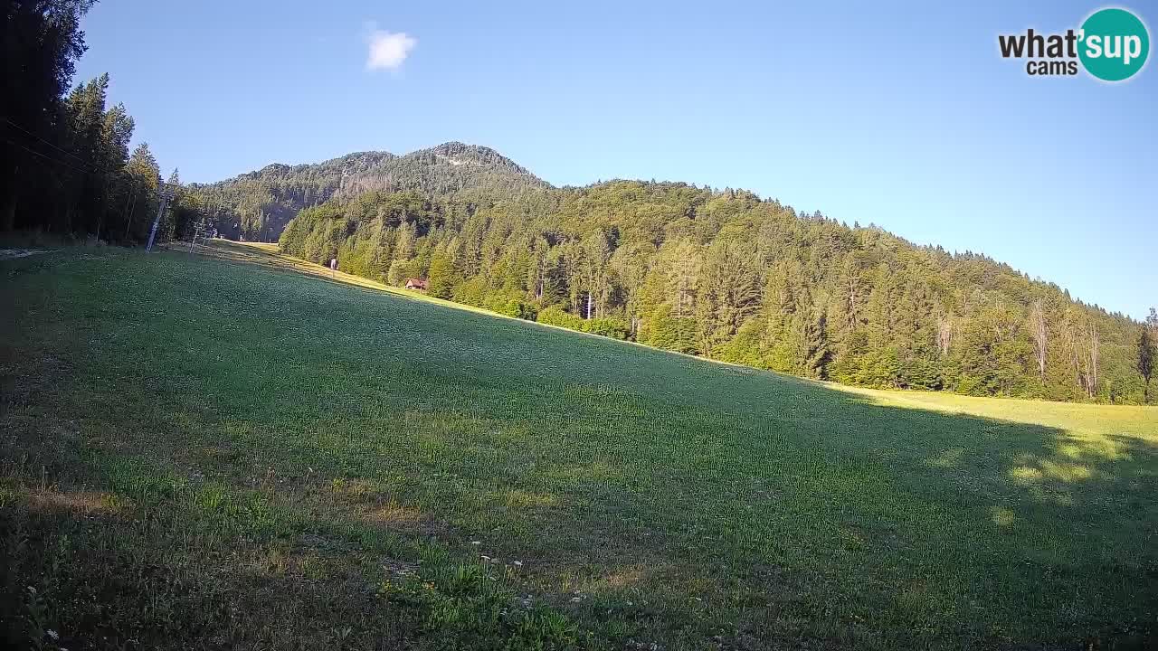 Kranjska Gora Station de ski | Brsnina