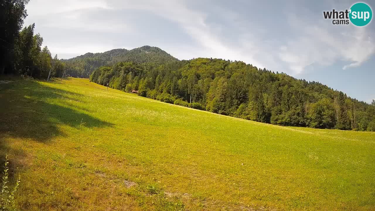 Ski Kranjska Gora | Brsnina