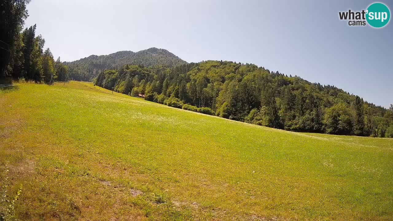 Ski Kranjska Gora | Brsnina