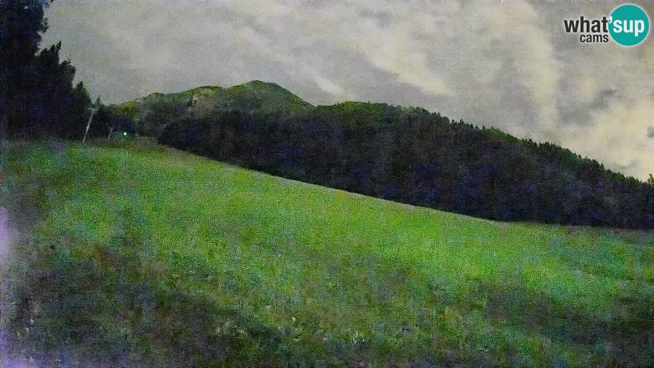 RTC Kranjska Gora | Brsnina