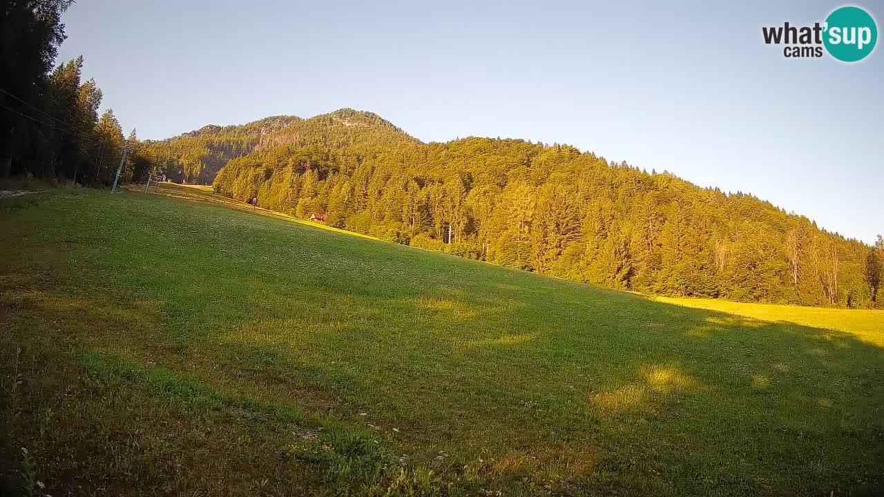 RTC Skigebiet Kranjska Gora | Brsnina