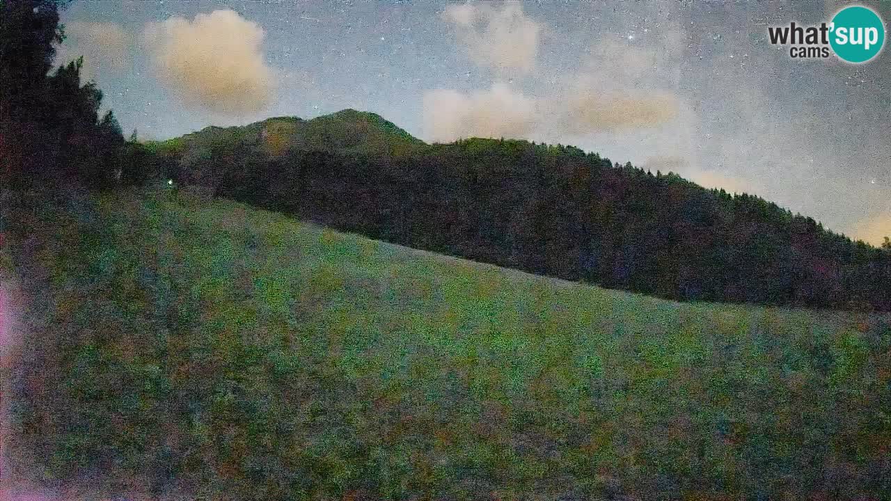 Ski Kranjska Gora | Brsnina