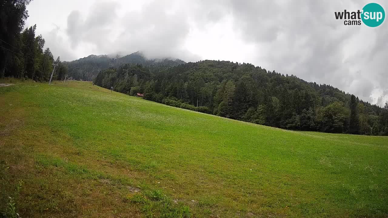 Ski Kranjska Gora | Brsnina