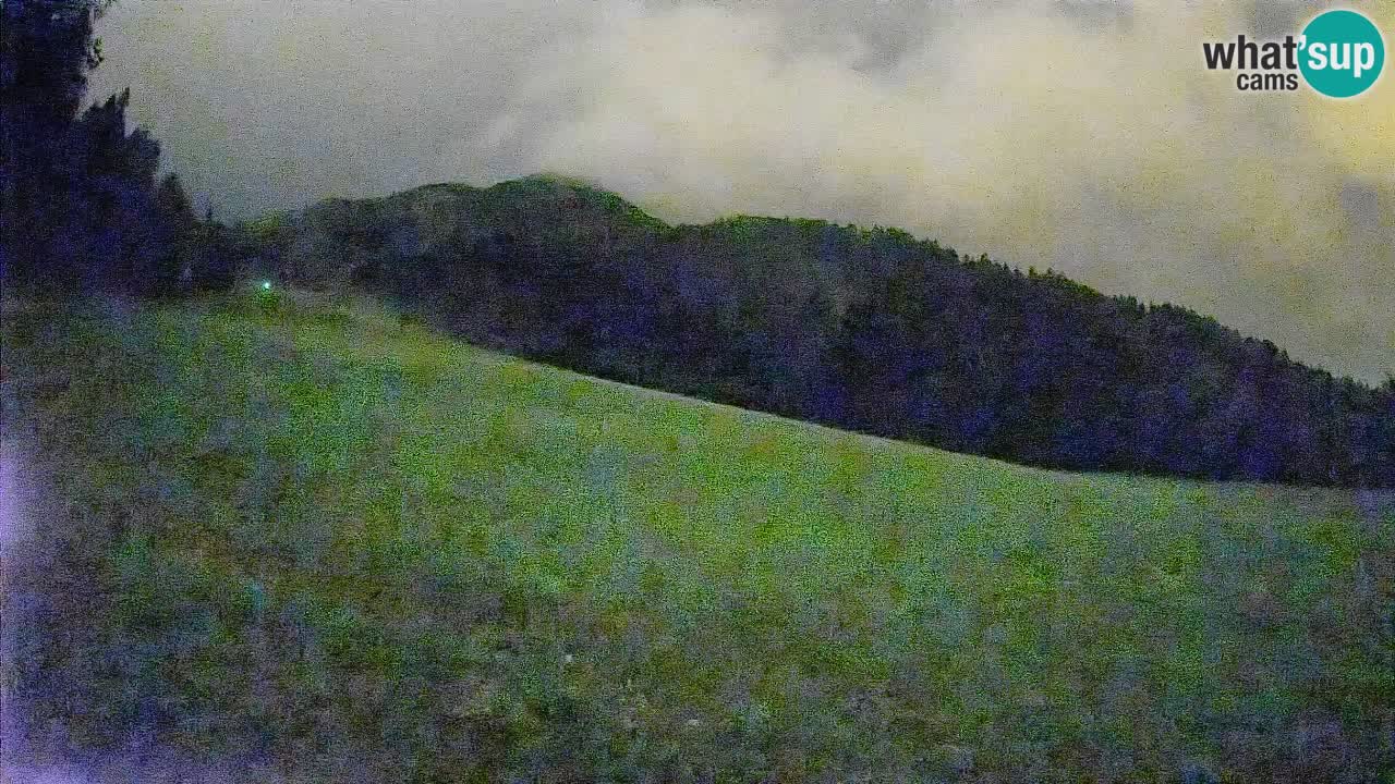 Kranjska Gora Station de ski | Brsnina