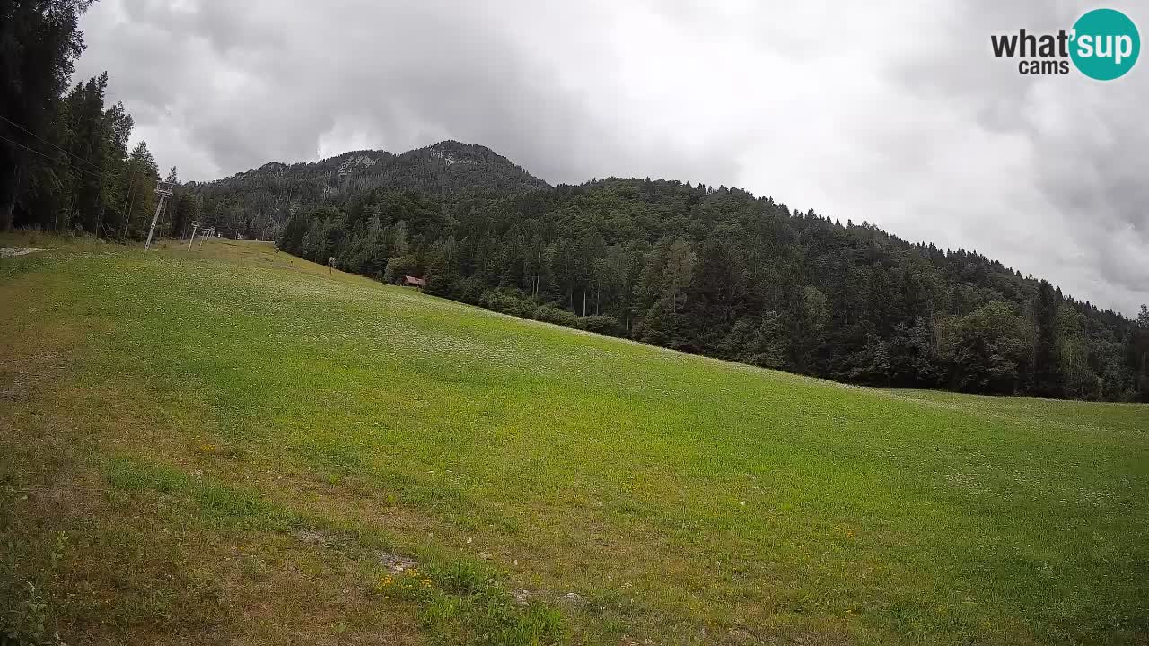 RTC Kranjska Gora | Brsnina
