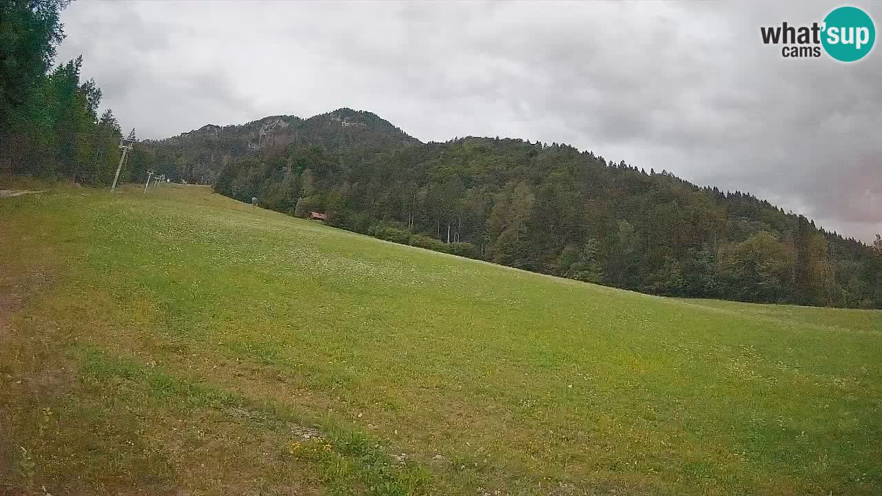 Ski Kranjska Gora | Brsnina