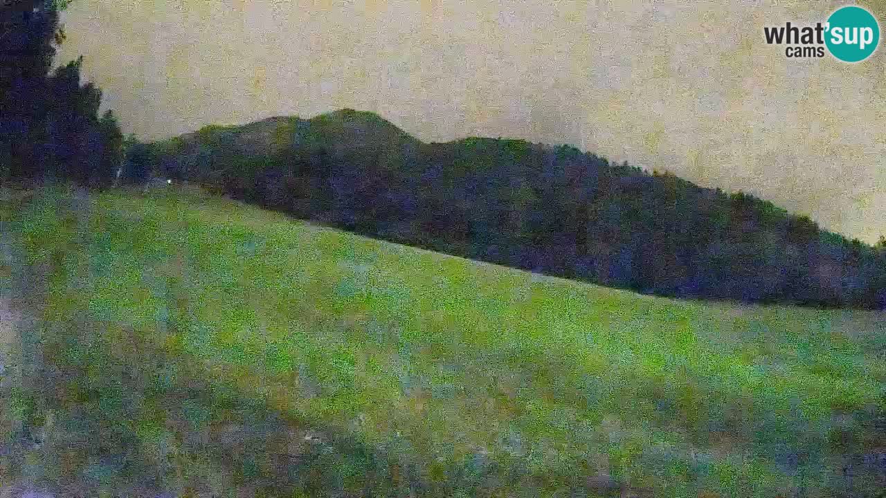 Ski Kranjska Gora | Brsnina