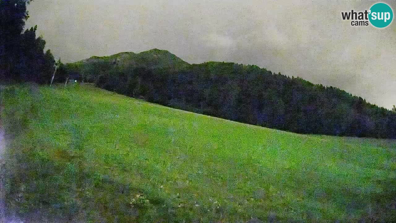 Ski Kranjska Gora | Brsnina