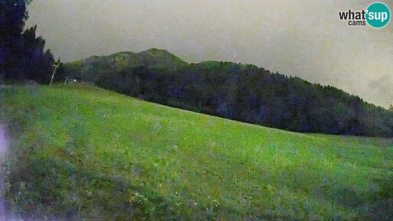 Ski Kranjska Gora | Brsnina