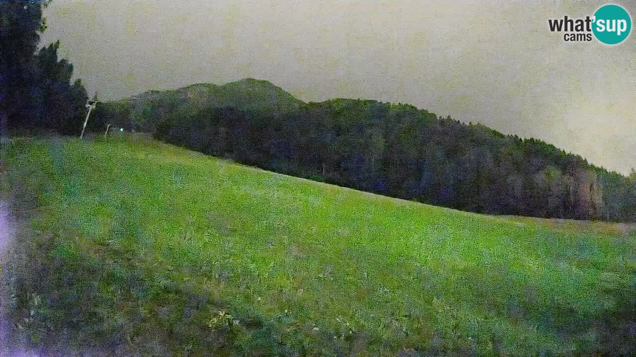 Ski Kranjska Gora | Brsnina