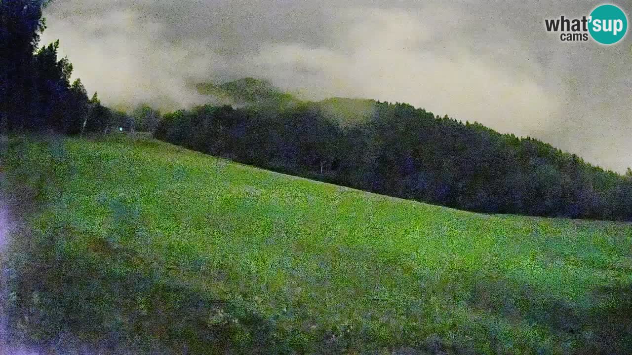 RTC Kranjska Gora | Brsnina