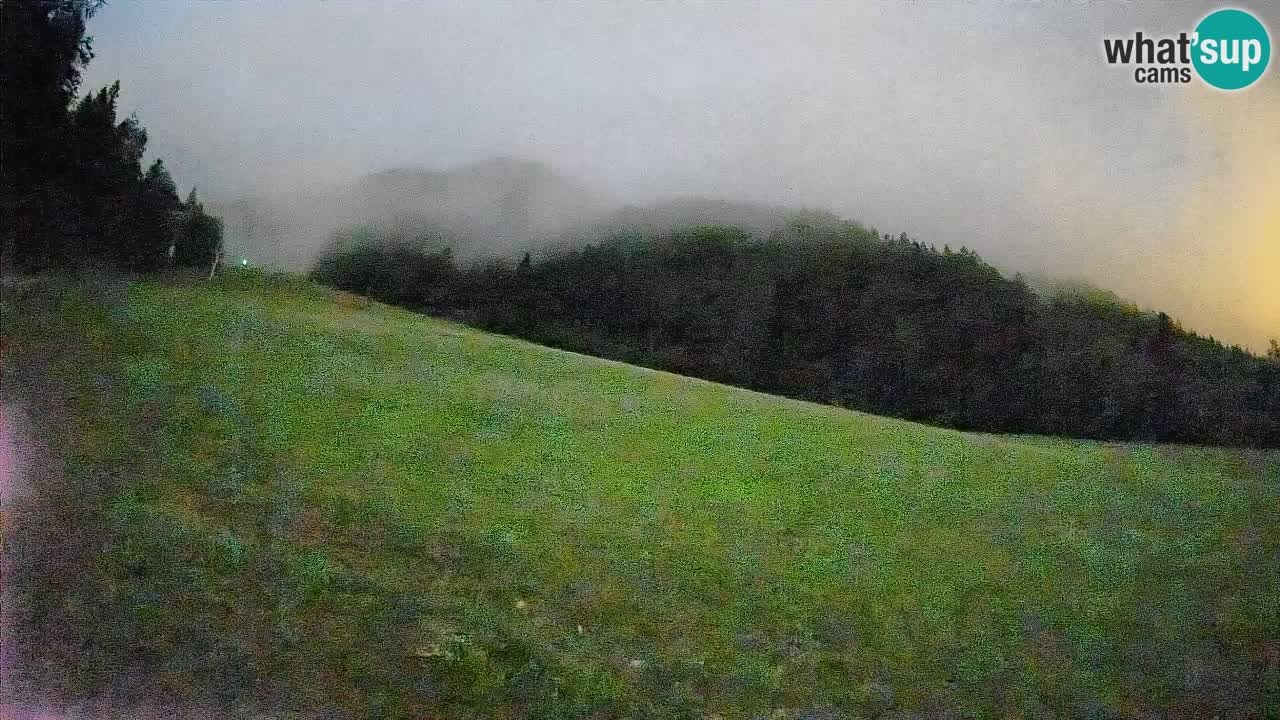 Ski Kranjska Gora | Brsnina