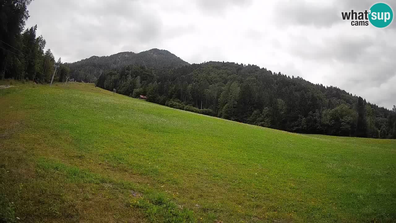 Ski Kranjska Gora | Brsnina
