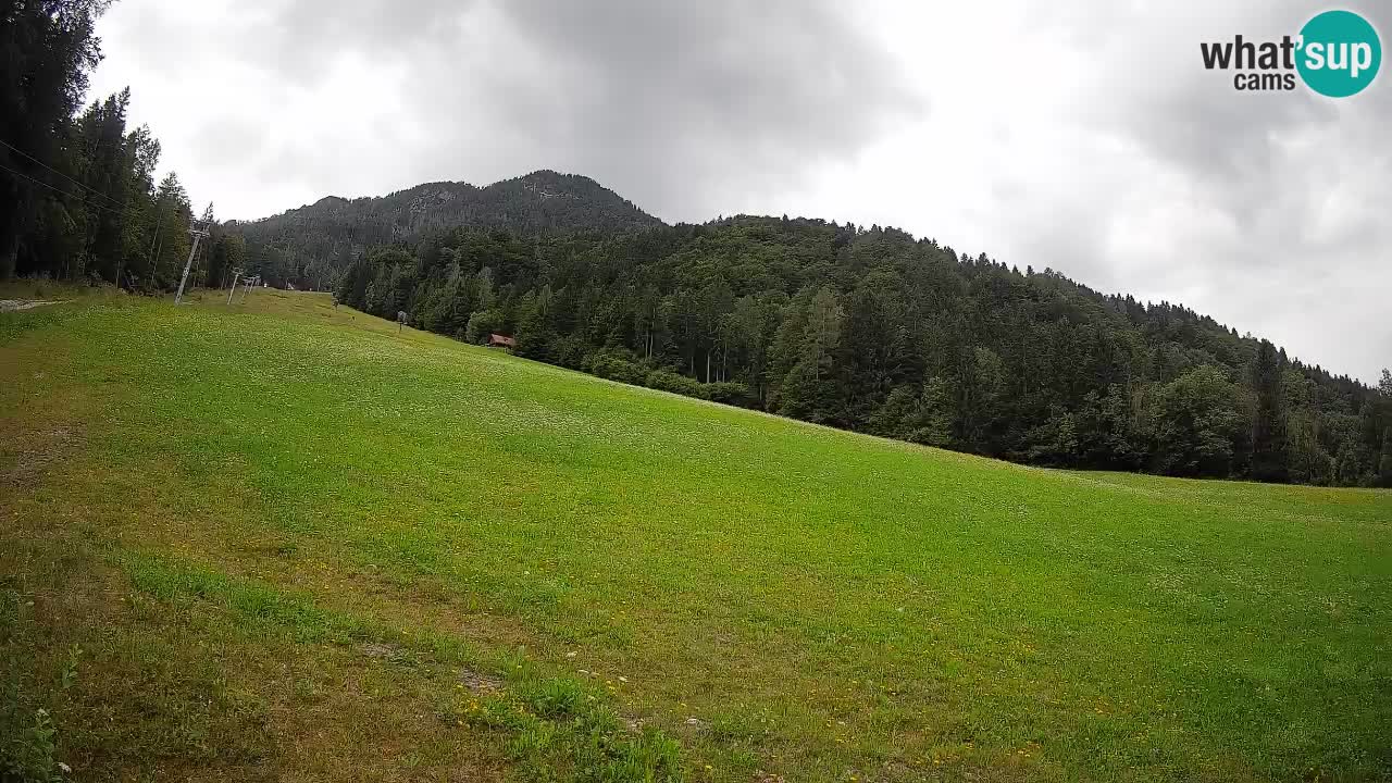 Ski Kranjska Gora | Brsnina