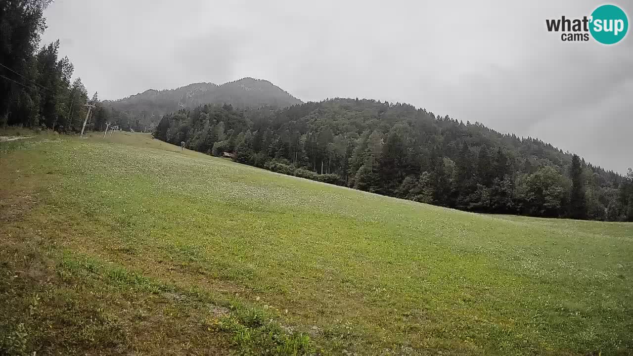 RTC Kranjska Gora | Brsnina